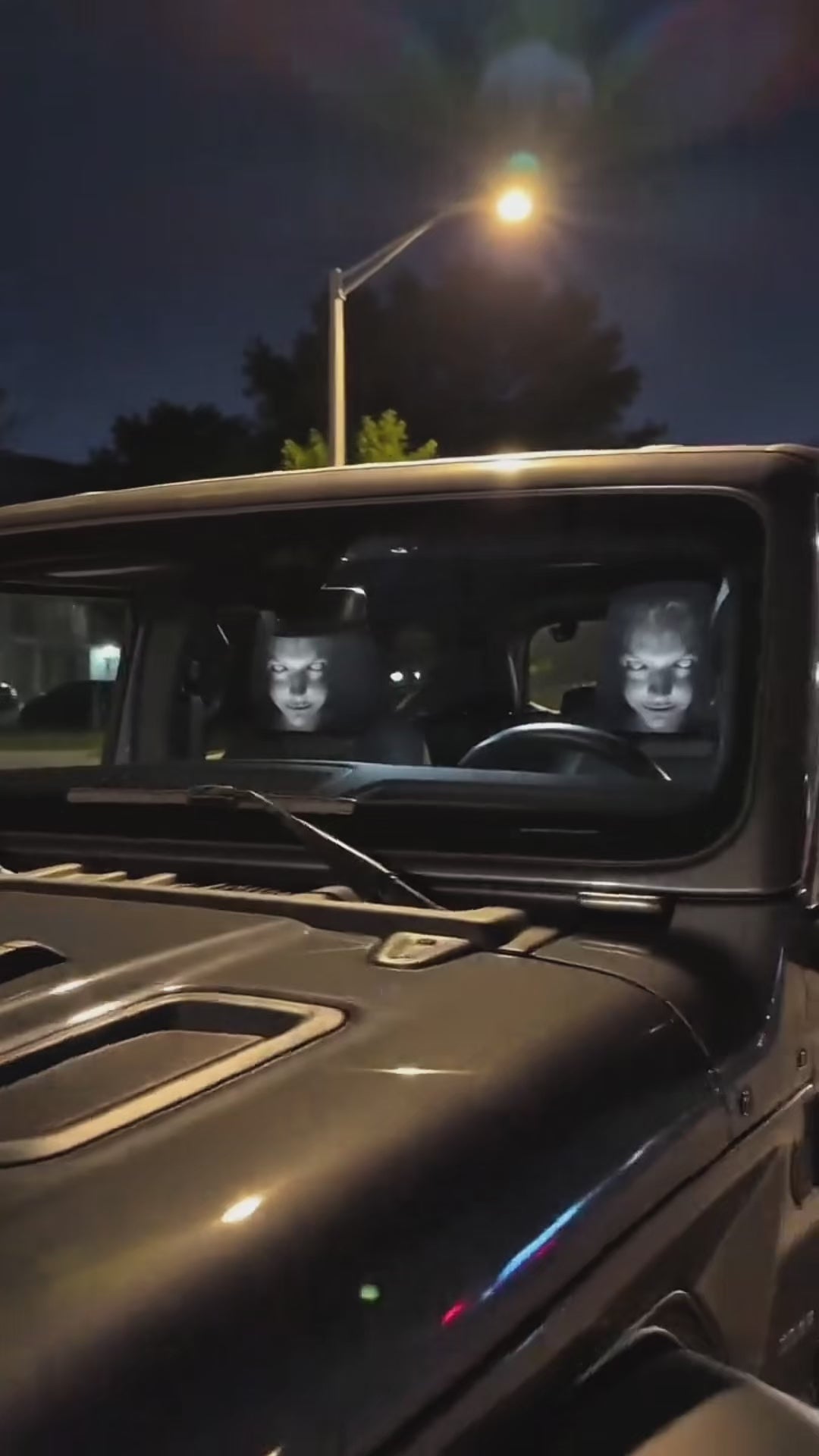 Mystery Halloween car accessory